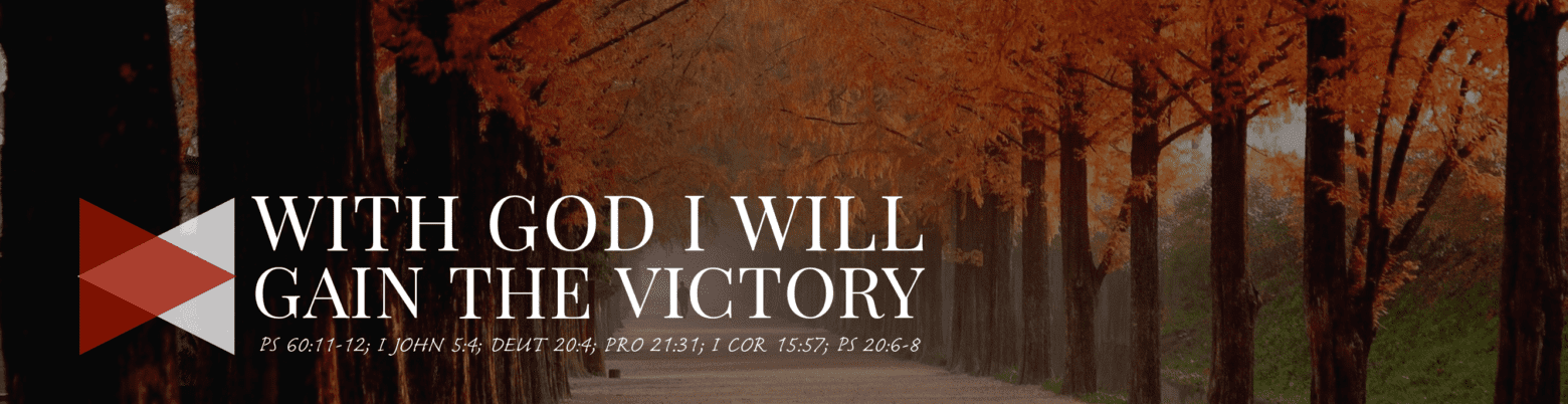 With God I Will Gain The Victory