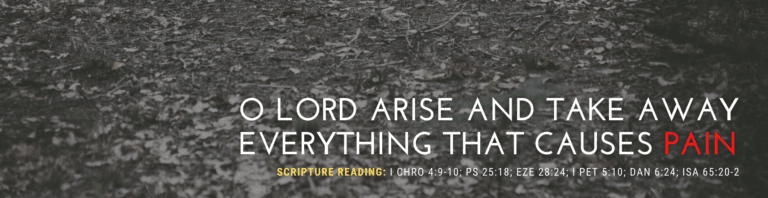 O LORD ARISE AND TAKE AWAY EVERYTHING THAT CAUSES PAIN