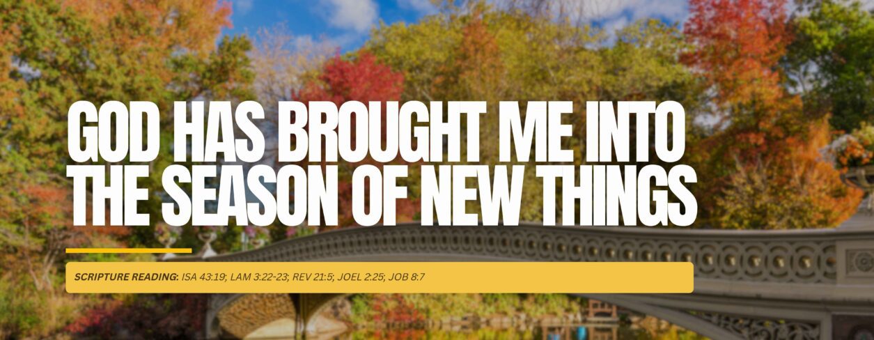 God Has Brought Me Into The Season of New Things