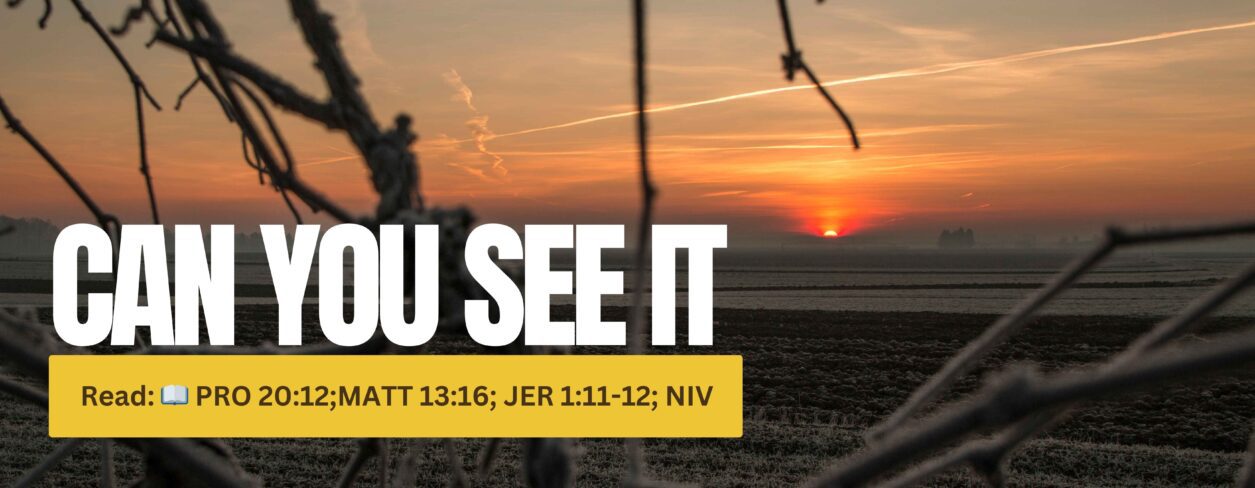 Can You See It - by Pastor Abraham Adedayo